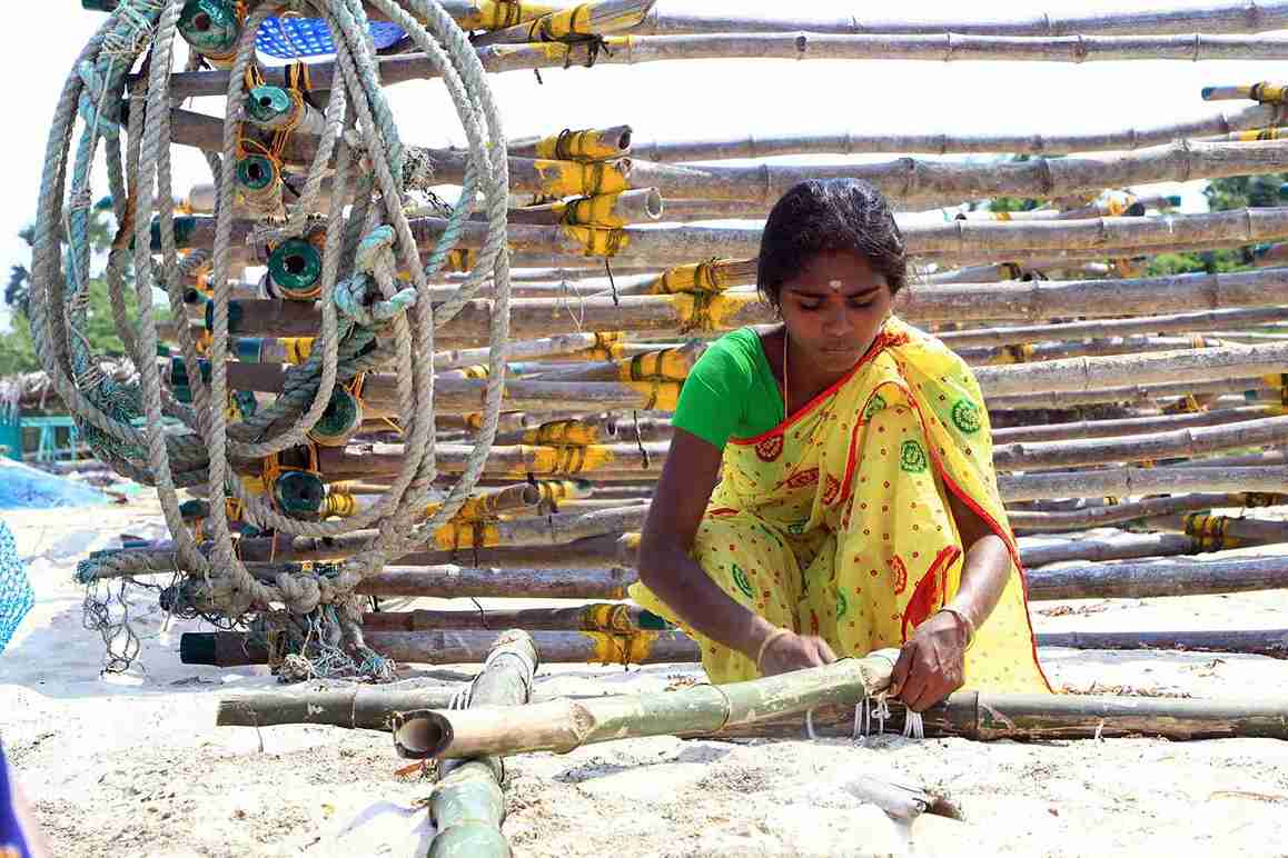 seawood cultivation 7