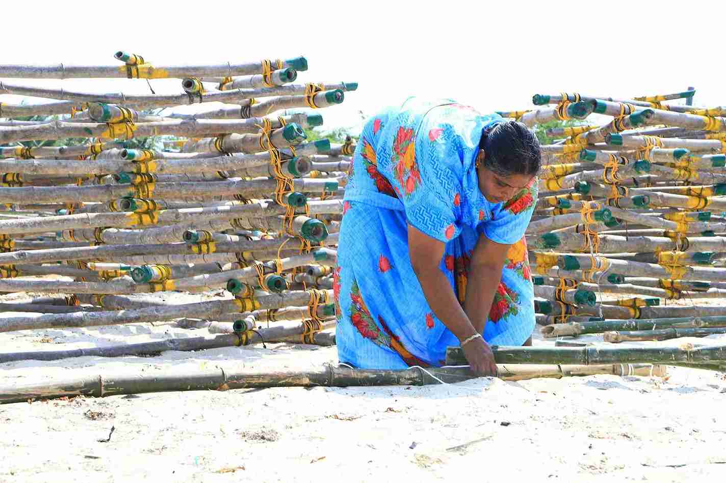 seawood cultivation 8