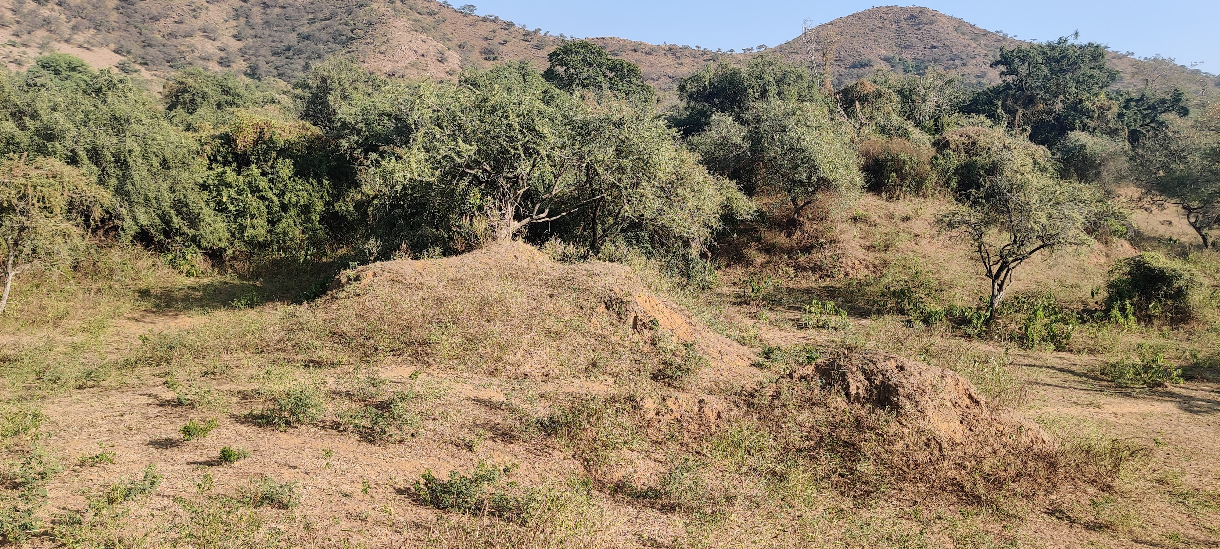Water conservation project